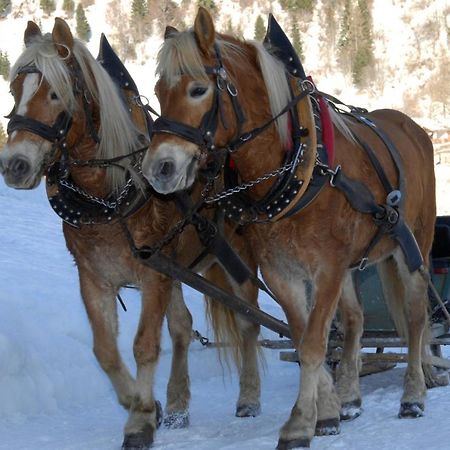 Hotel Monte Civetta Alleghe Eksteriør bilde