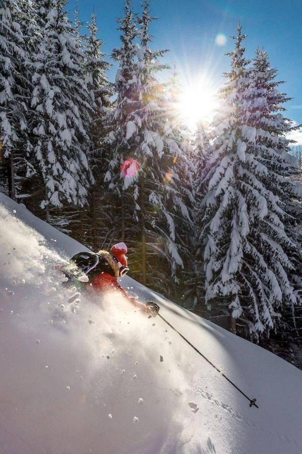 Hotel Monte Civetta Alleghe Eksteriør bilde